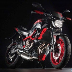 Yamaha MT Moto Cage