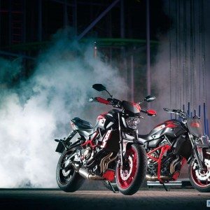 Yamaha MT Moto Cage