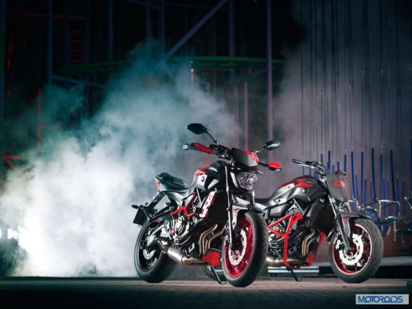 2015 Yamaha MT07 Moto Cage (24)