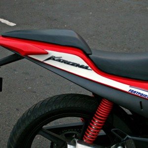 Fortpoint modified Karizma R