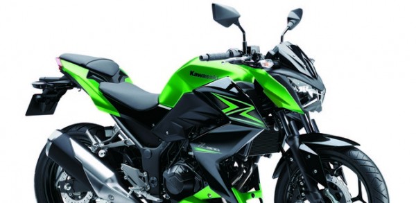 2015 Kawasaki Z300