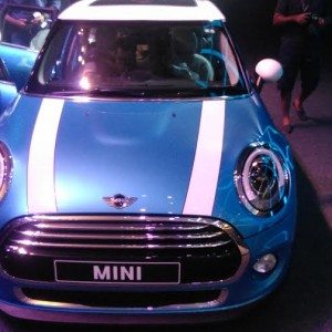 Mini  door