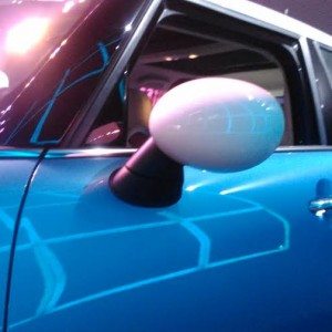 Mini  door