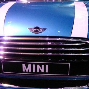 Mini India  door
