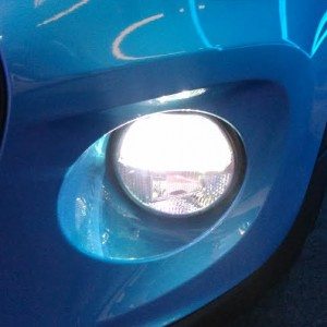 Mini India  door