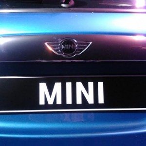 Mini India  door
