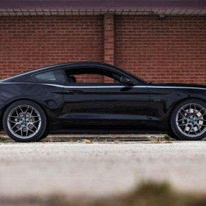 ford mustang rtr