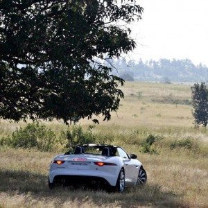 Jaguar F Type V S Convertible