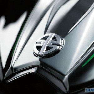 Kawasaki Ninja H Official Image  Emblem