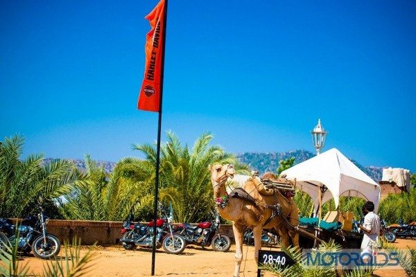 Nothern HOG Rally in Pushkar (3)