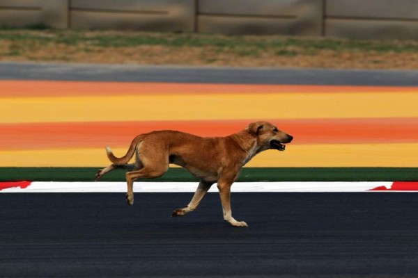 Formula One World Championship, Rd 17, Indian Grand Prix, Buddh International Circuit, Greater Noida, New Delhi, India, Practice Day, Friday 28 October 2011.