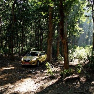 Datsun GO in the forest