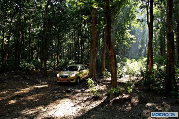 Datsun GO+in the forest