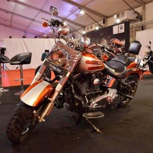 Harley Davidson Fatboy India