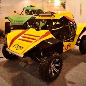 Rage MotorSports Buggy