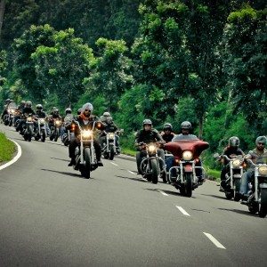 Harley Davidson Five Year Celebration