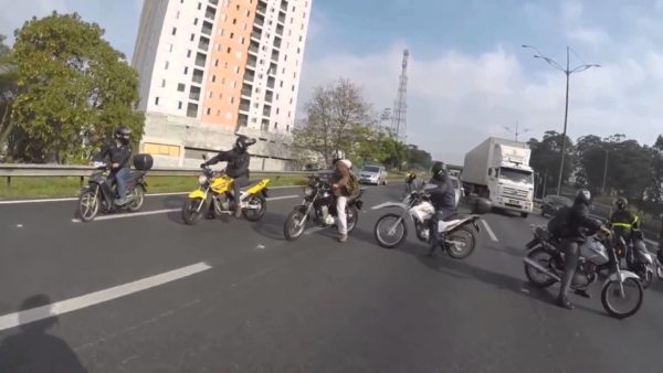 Bikers save dog