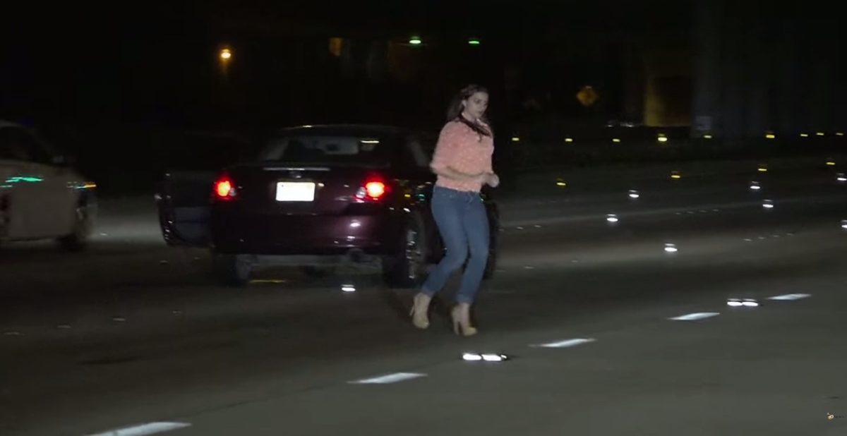 Intoxicated Woman Wanders on San Diego Freeway