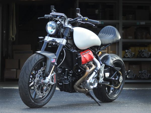 motus lone star  concept