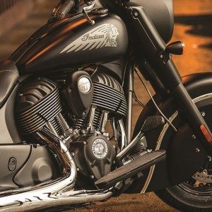 Indian Chief Dark Horse