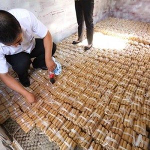 Chinese Man Pays for Luxury Car with Coins