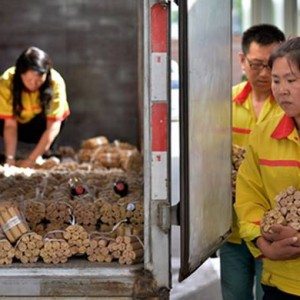 Chinese Man Pays for Luxury Car with Coins