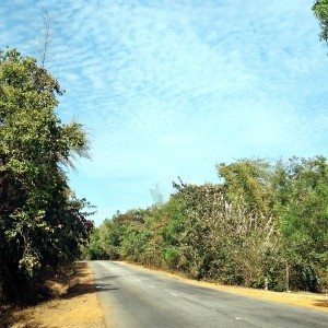 Karnataka forests audi