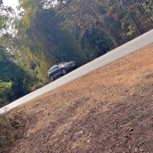 Karnataka forests audi