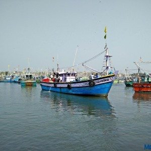 Malpe port Audi Q