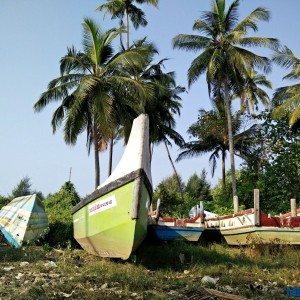 Mulki boat ride