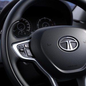 Multi function Steering Wheel