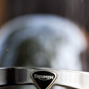 Triumph Thunderbird LT fender