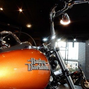 United Harley Davidson dealership in Lucknow Picture