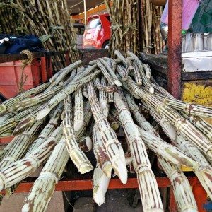 cane juice Mulki