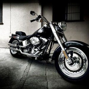 Harley Davidson Celebrates  years of the Iconic Fat Boy