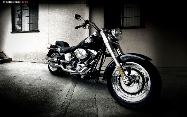harley davidson fat boy arnold schwarzenegger