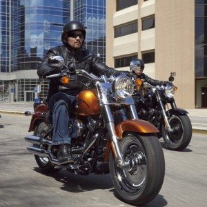 Harley Davidson Celebrates  years of the Iconic Fat Boy