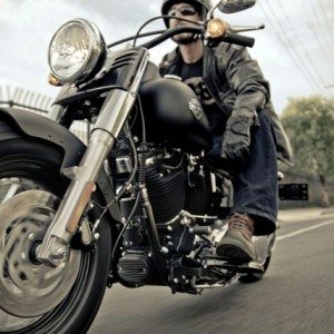 Harley Davidson Celebrates  years of the Iconic Fat Boy