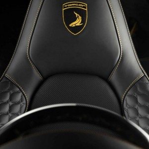 Porsche  GTR Carbon Edition by TOPCAR seats