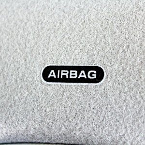 new  Ford Figo airbag