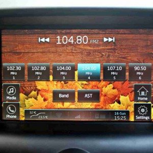 Mahindra XUV interiors