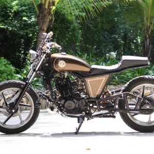 JD Custom Bratbob Pulsar