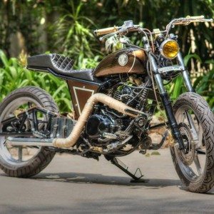 JD Custom Bratbob Pulsar