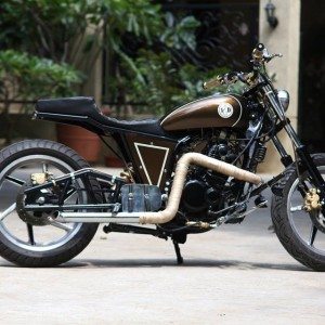 JD Custom Bratbob Pulsar