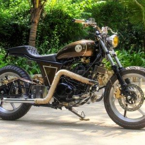 JD Custom Bratbob Pulsar