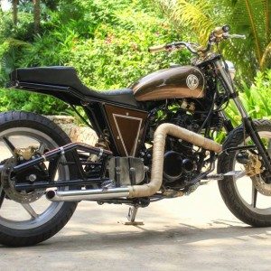 JD Custom Bratbob Pulsar