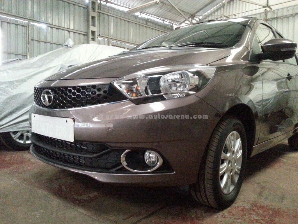 Tata Zica (4)