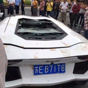 aventador crash rear pic by global car wanted