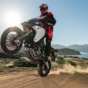 multistrada  enduro