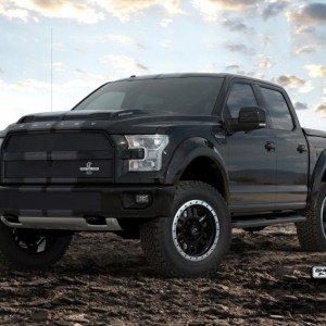shelby f  sema black n grey